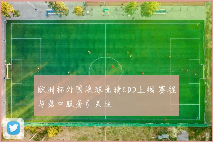 欧洲杯外围滚球竞猜app上线 赛程与盘口服务引关注