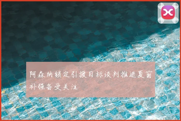 阿森纳锁定引援目标谈判推进夏窗补强备受关注