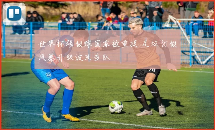 世界杯踢假球国家被重提 足坛打假风暴升级波及多队