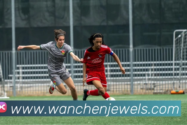 App Interface Preview